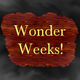 Illustration for article titled Dadhacker - Are You Having A “Wonder Week”?